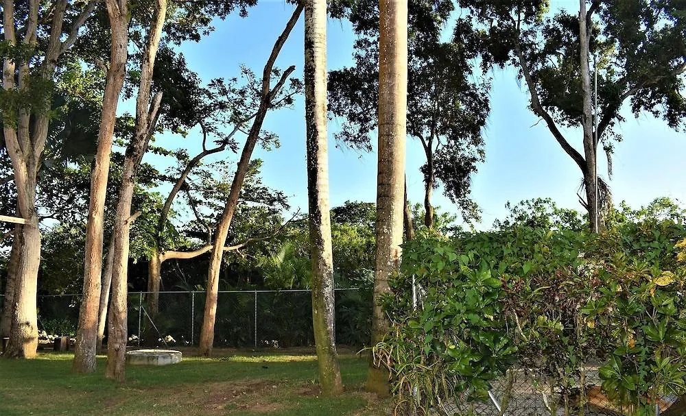 Hotel Tropical Beach Cabarete