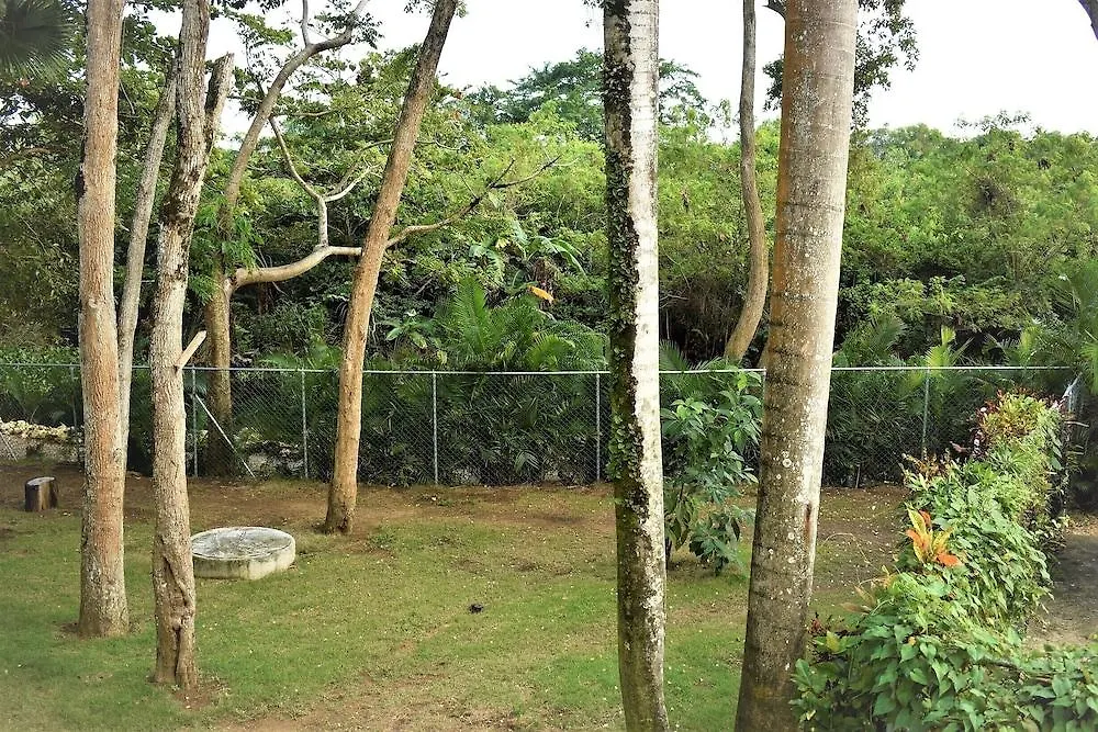 Tropical Beach 喀巴里特 酒店